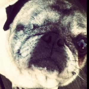 Meet your Posher, Tracy